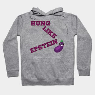 Funny hung like epstein Hoodie